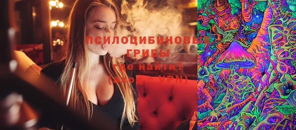 твердый Алексин