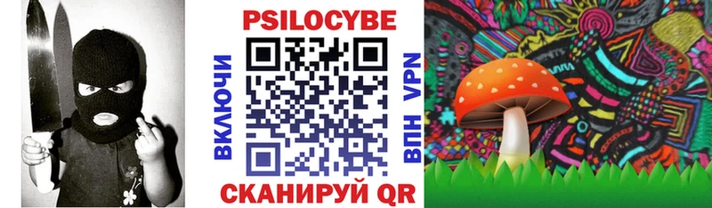 Псилоцибиновые грибы Cubensis  цена   Спас-Клепики 